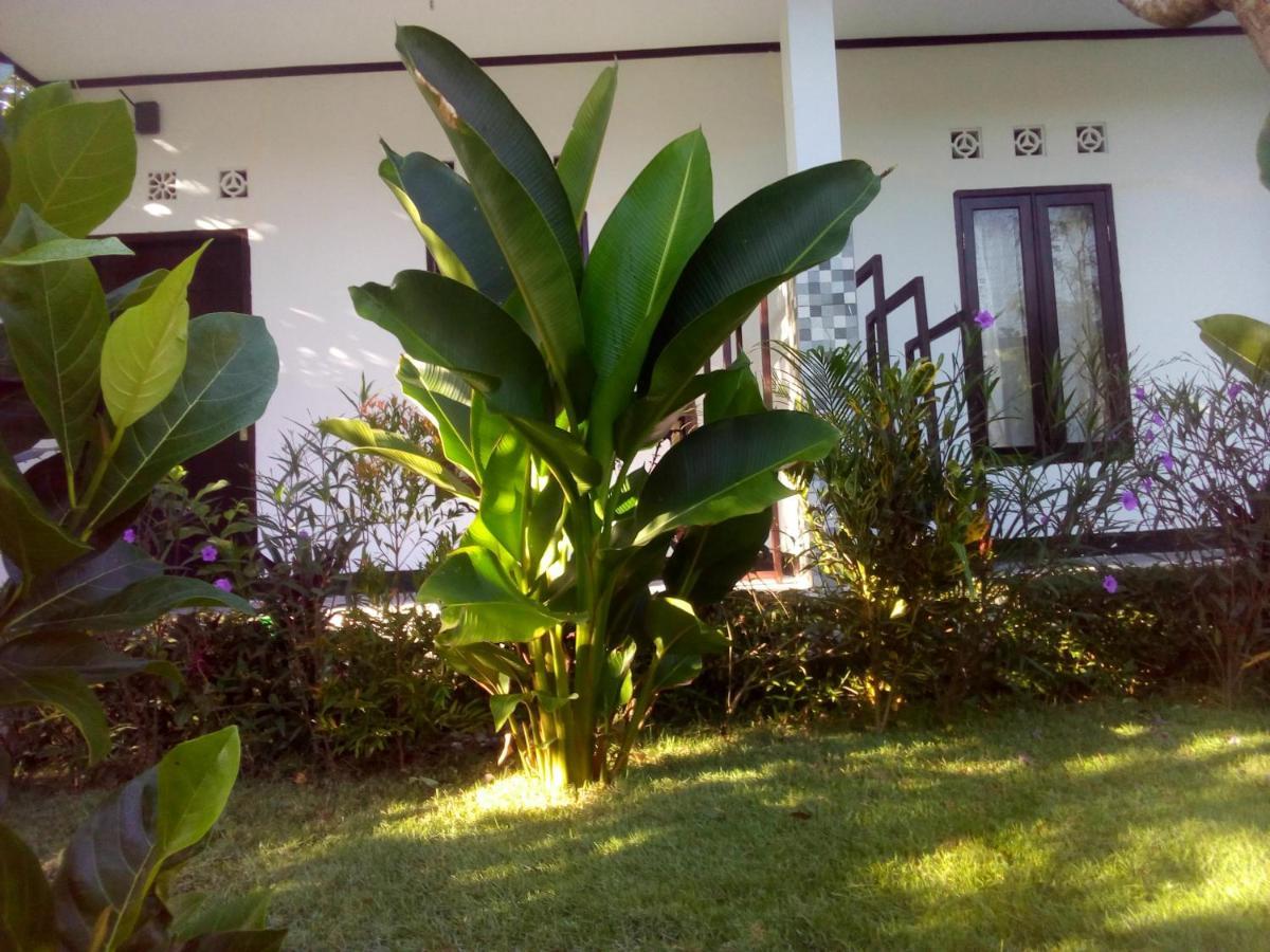 Ariata Arya Hostel Kuta  Luaran gambar